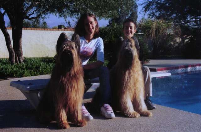 2001 xmas2001.jpg